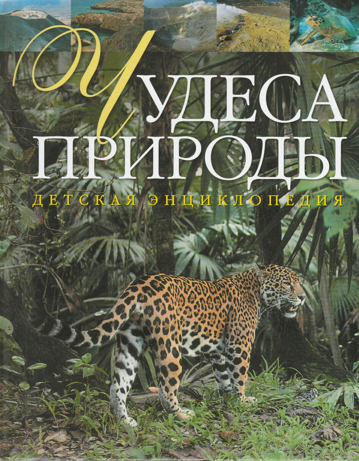 Чудеса природы. Детская энциклопедия-Ухарцева А.-АСТ-Lookomorie