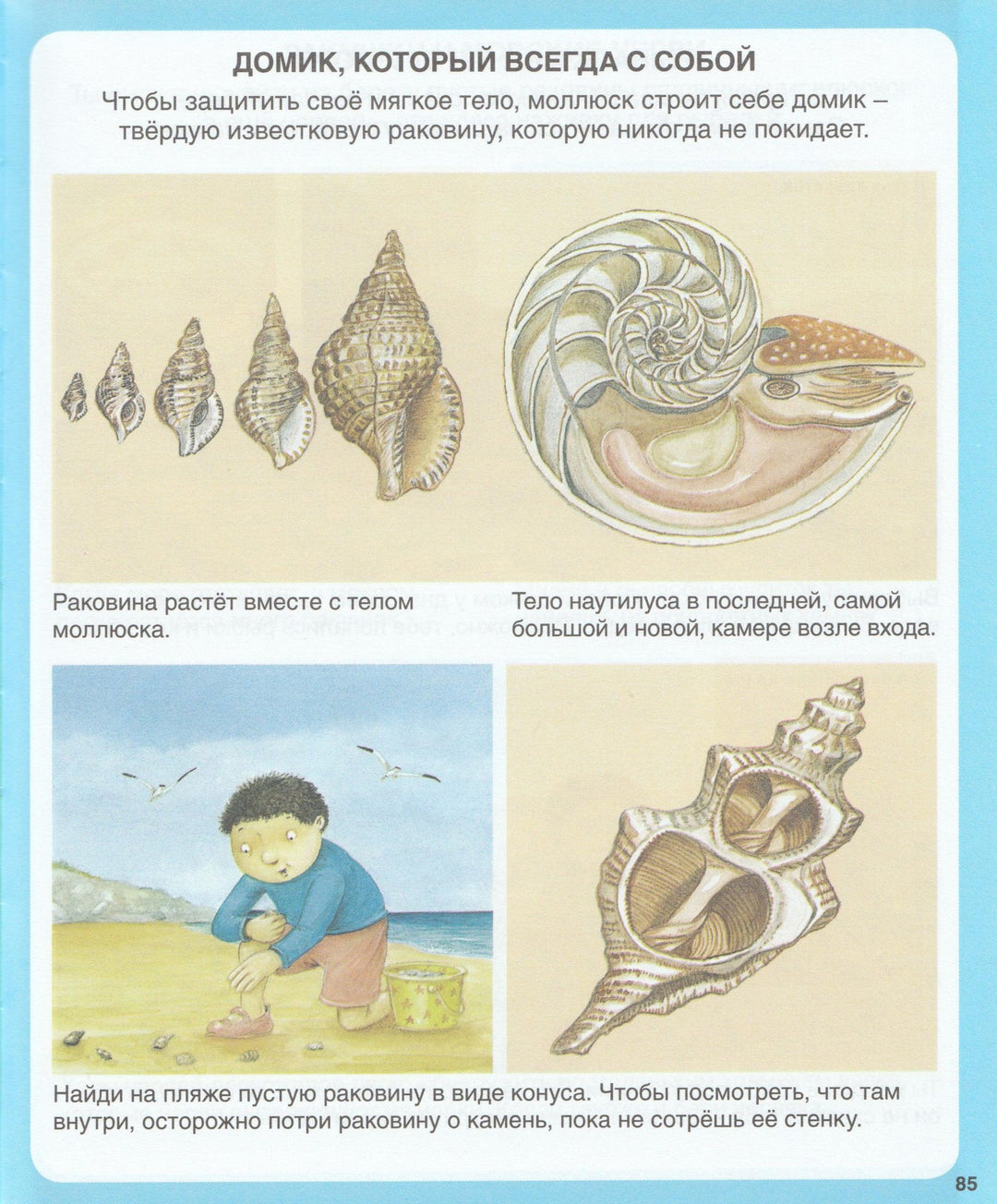 Тайны моря. Твоя первая энциклопедия-Бомон Э.-Махаон-Lookomorie