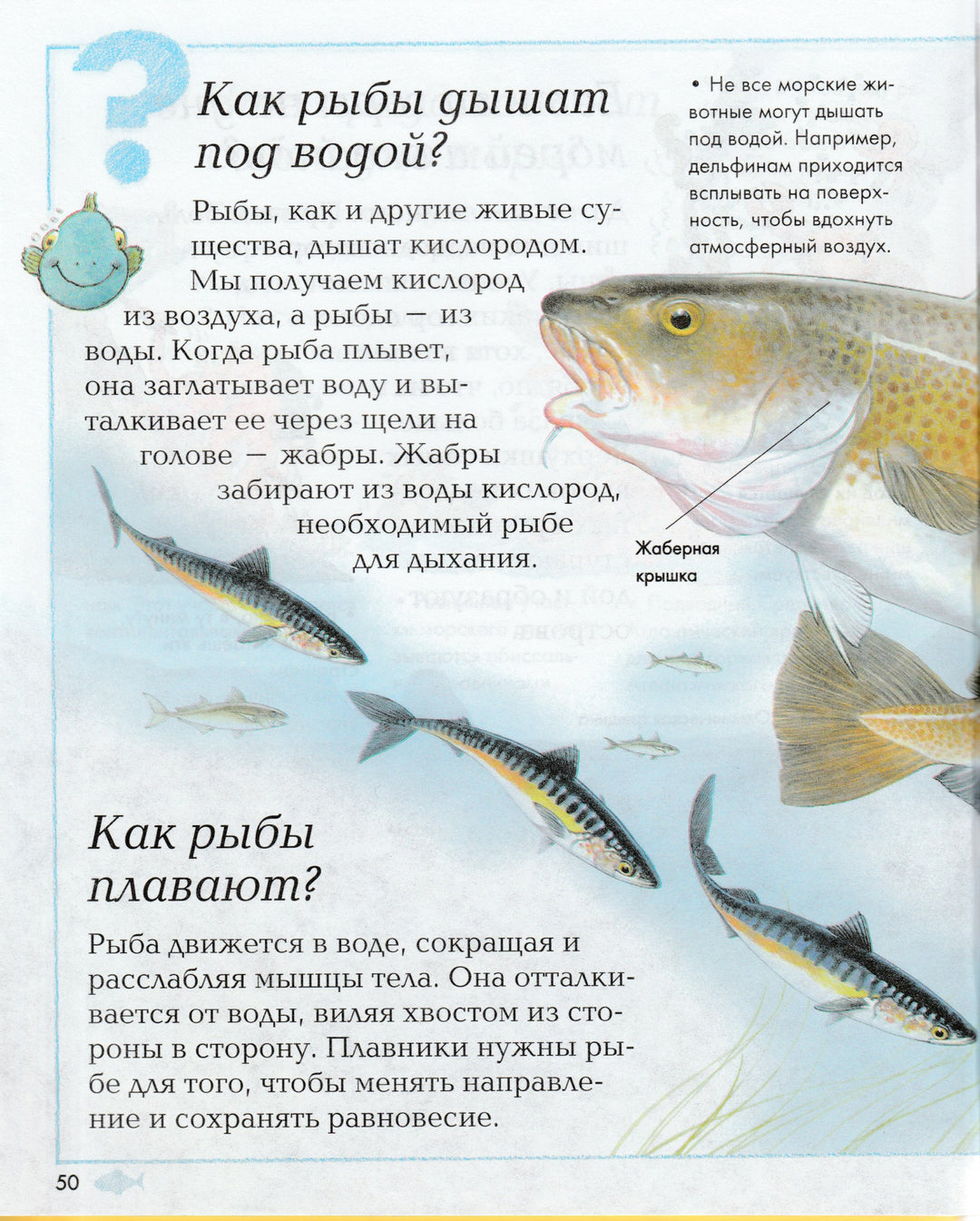 Где, что и когда?-О'Нейлл, Ганери-Махаон-Lookomorie