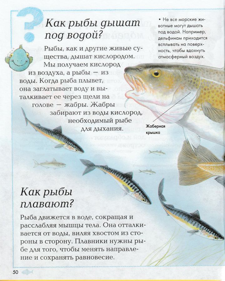 Где, что и когда?-О'Нейлл, Ганери-Махаон-Lookomorie
