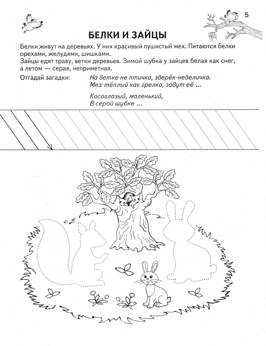 Веселый зоопарк. Маленькие гении. 5-7 лет. Умная раскраска-Новиковская О.-Астрель-Lookomorie