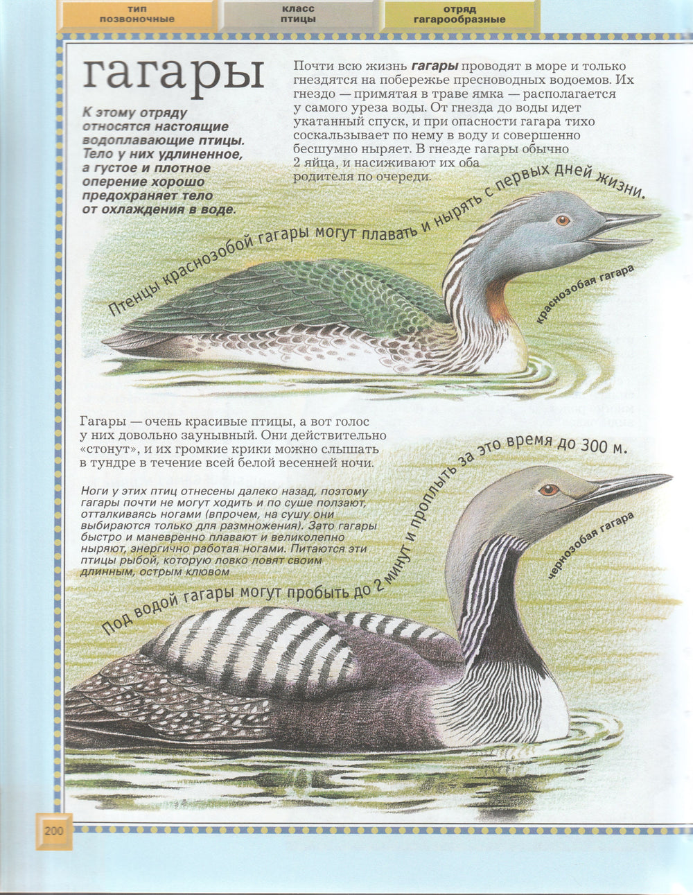 Большая энциклопедия животного мира-Бейко В.-Росмэн-Lookomorie