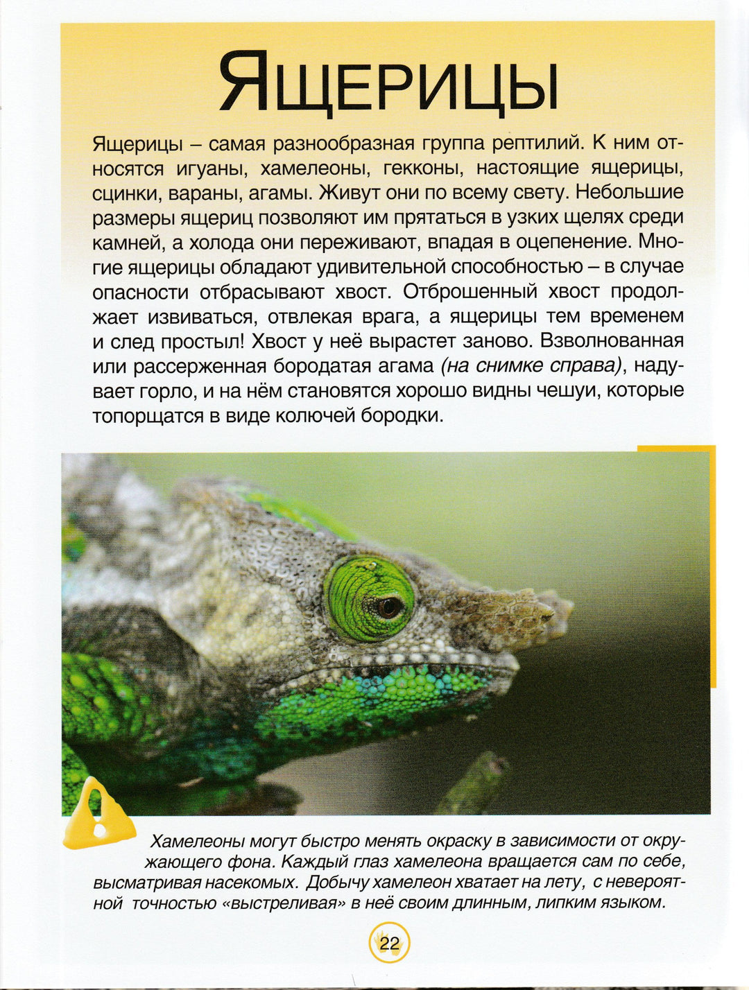 Эти таинственные животные-Беккер Ж.-Росмэн-Lookomorie