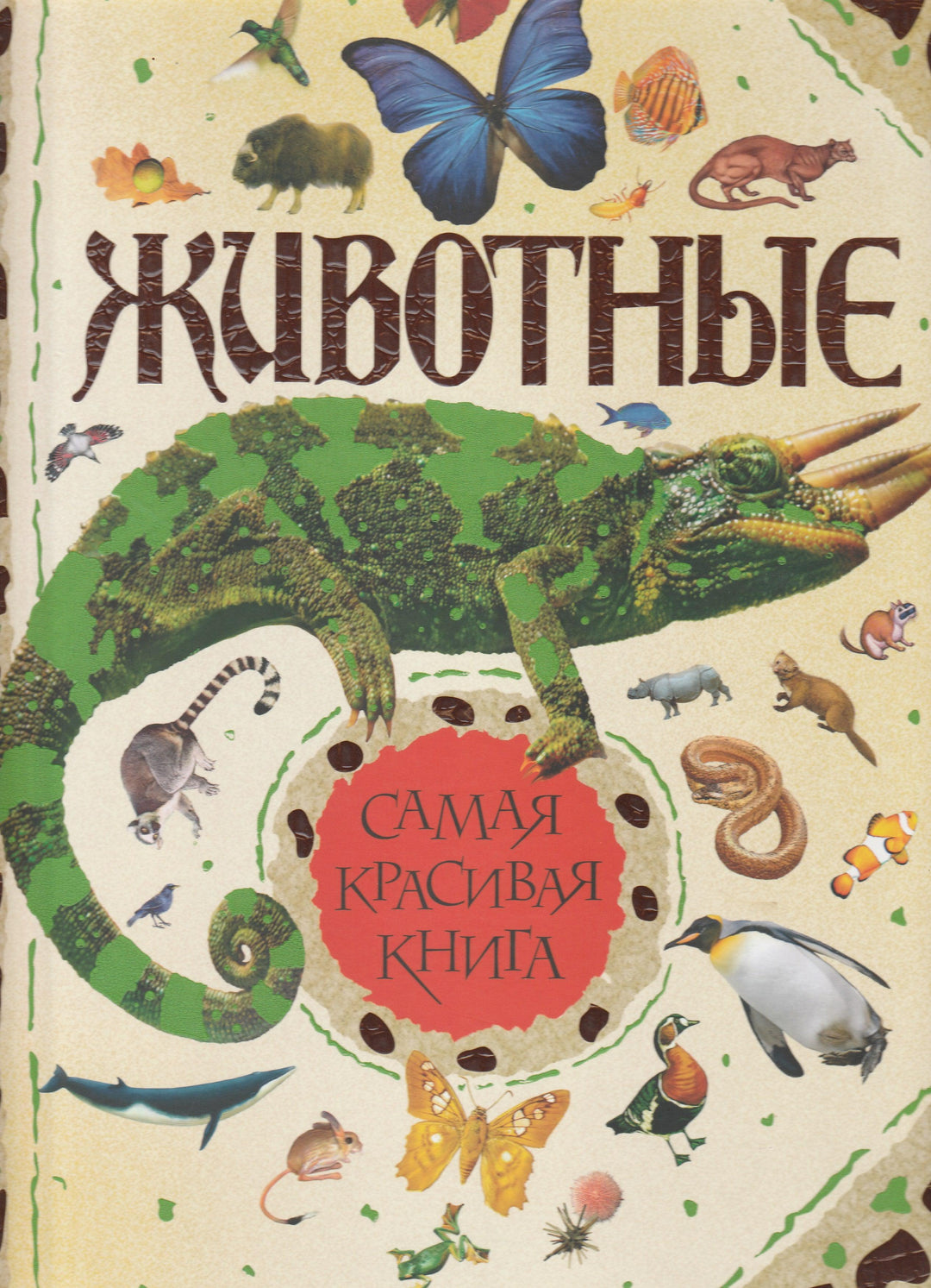 Животные. Самая красивая книга-Коллектив авторов-Росмэн-Lookomorie