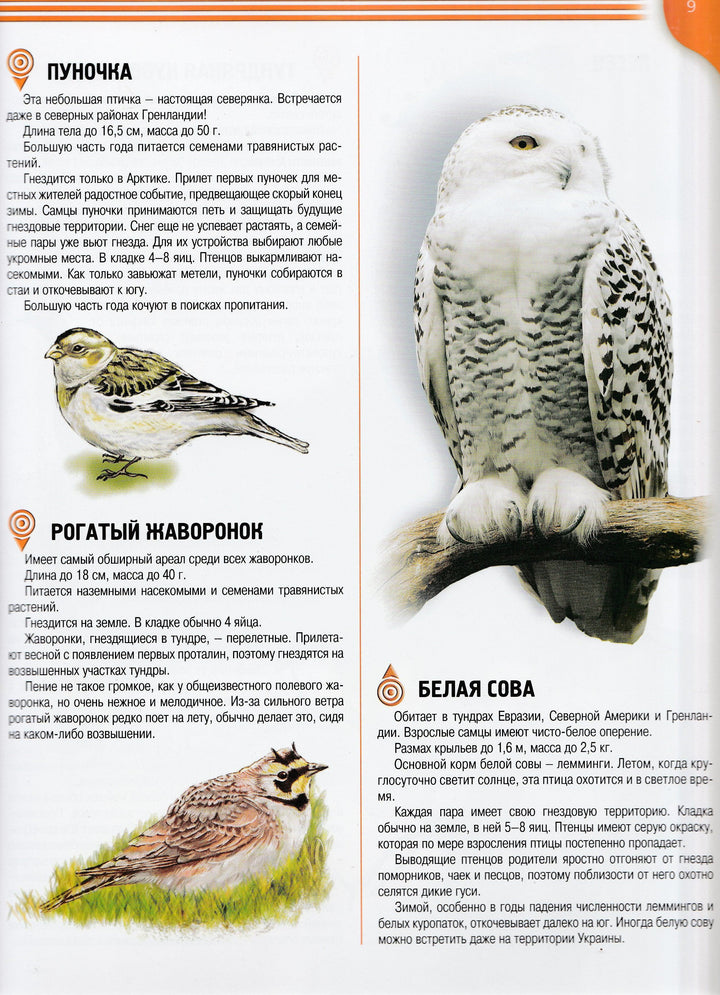 Животные. Самая красивая книга-Коллектив авторов-Росмэн-Lookomorie