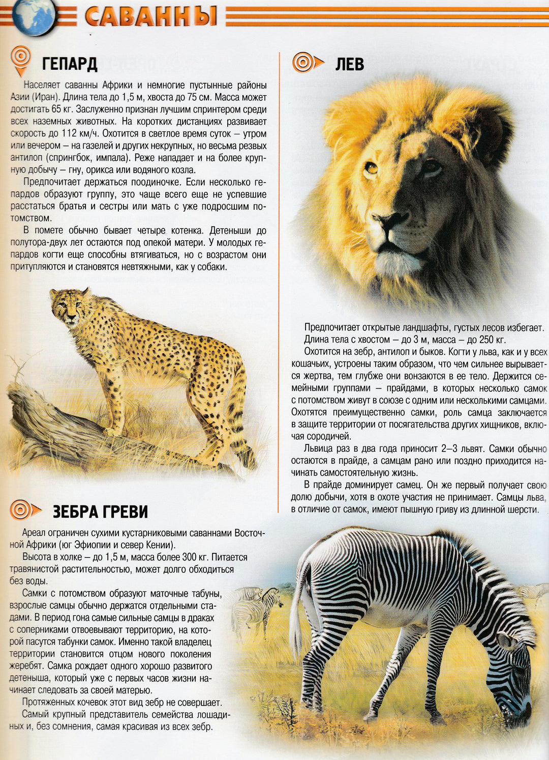 Животные. Самая красивая книга-Коллектив авторов-Росмэн-Lookomorie