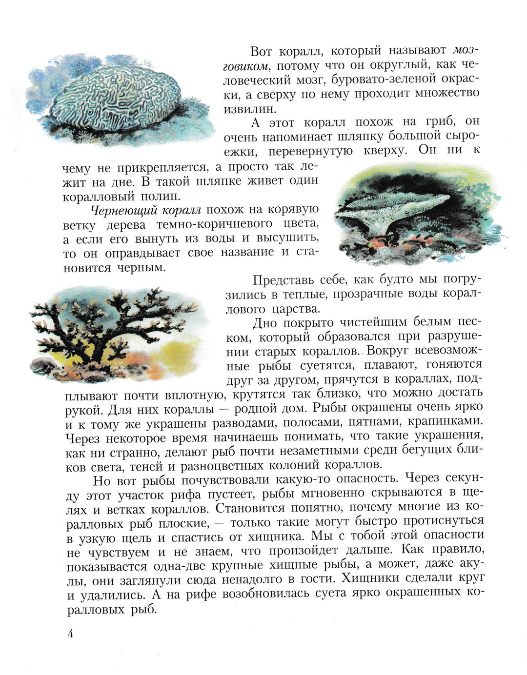 Кто в море живет? Серия Дошкольник "Кто где живет?" Книга 6-Тамбиев А.-Просвещение-Lookomorie