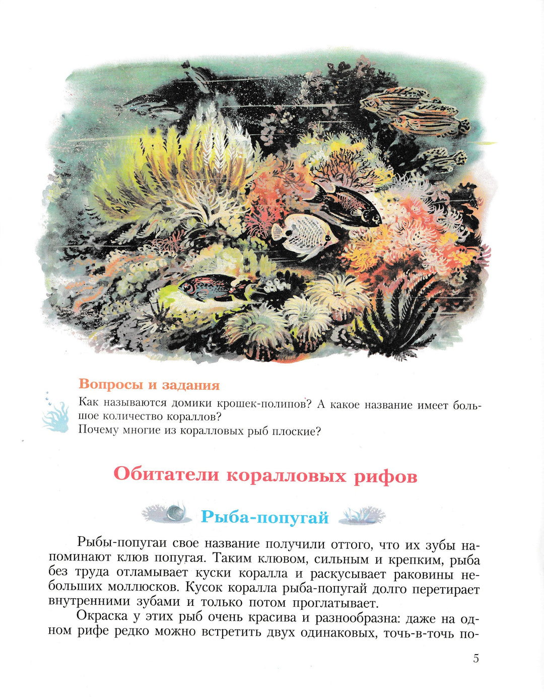 Кто в море живет? Серия Дошкольник "Кто где живет?" Книга 6-Тамбиев А.-Просвещение-Lookomorie