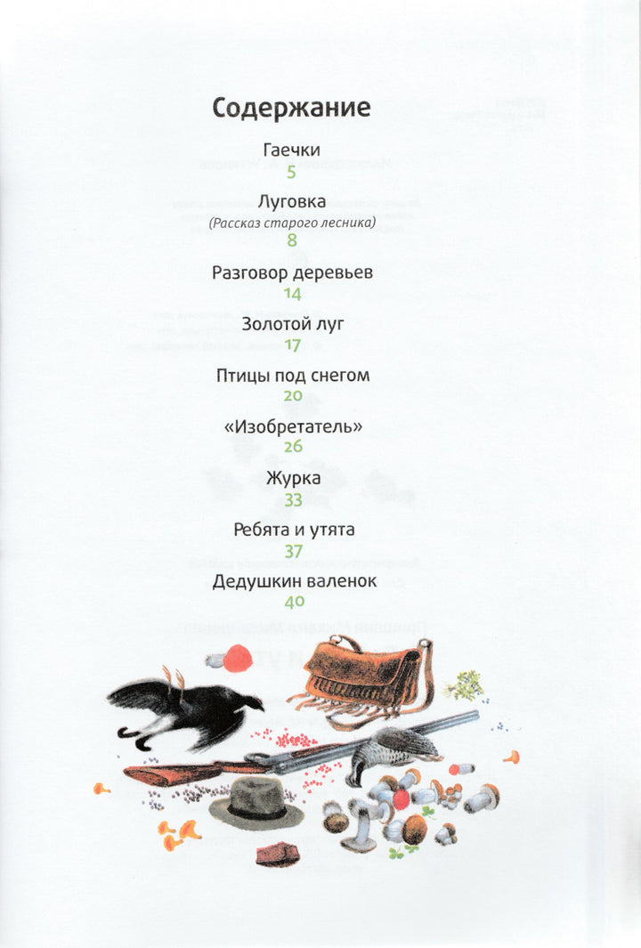 Ребята и утята (илл. Н. Устинов)-Пришвин М.-Амфора-Lookomorie