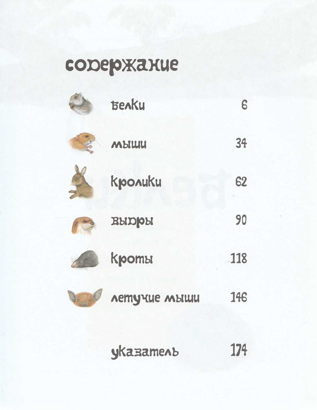 Детская энциклопедия животных. Маленькие и пушистые-Тинг М.-Махаон-Lookomorie