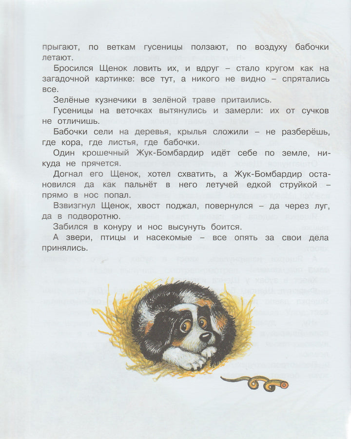 Бианки В. Как муравьишка домой спешил. Сказки-несказки-Бианки В.-Махаон-Lookomorie