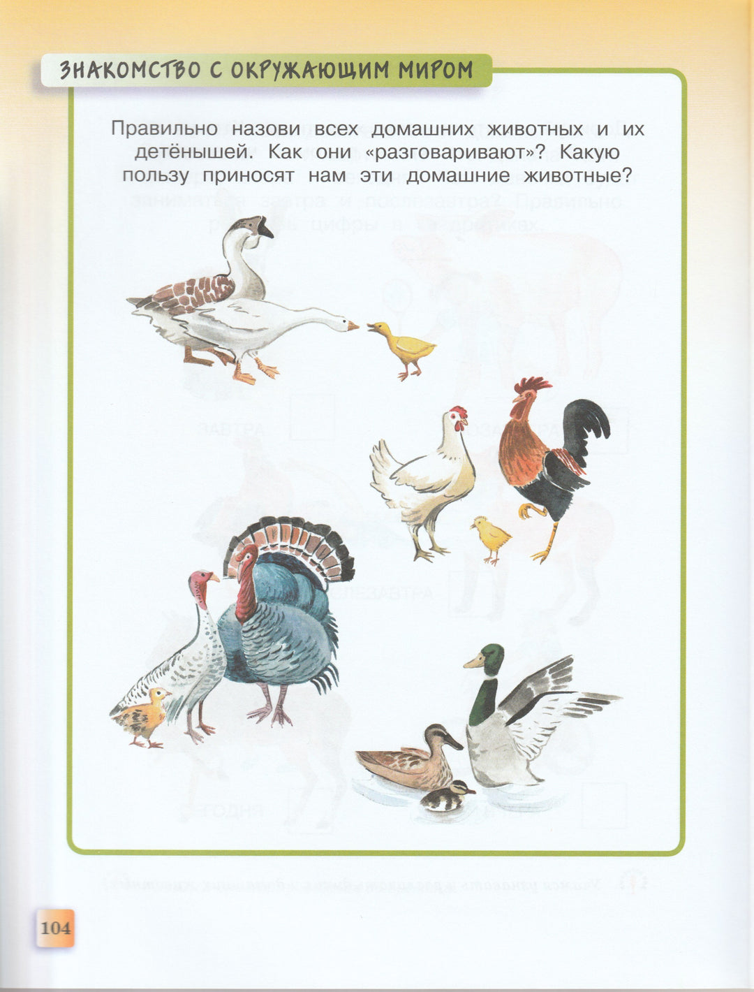 Развивающие тесты для детей 3-4 лет-Земцова О.-Махаон-Lookomorie