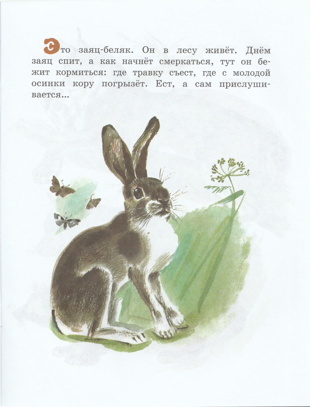 Чаплина В. Как заяц в лесу живет. Озорные книжки-Чаплина В.-Махаон-Lookomorie