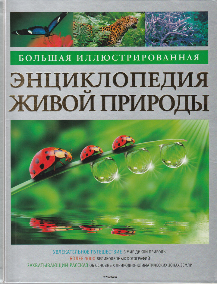 Большая иллюстрированная энциклопедия живой природы-Берни Д.-Махаон-Lookomorie