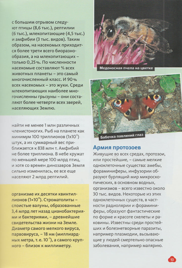 Животные. Птицы, рептилии, рыбы, млекопитающие, насекомые. Энциклопедия от А до Я-Сибелло С.-Махаон-Lookomorie