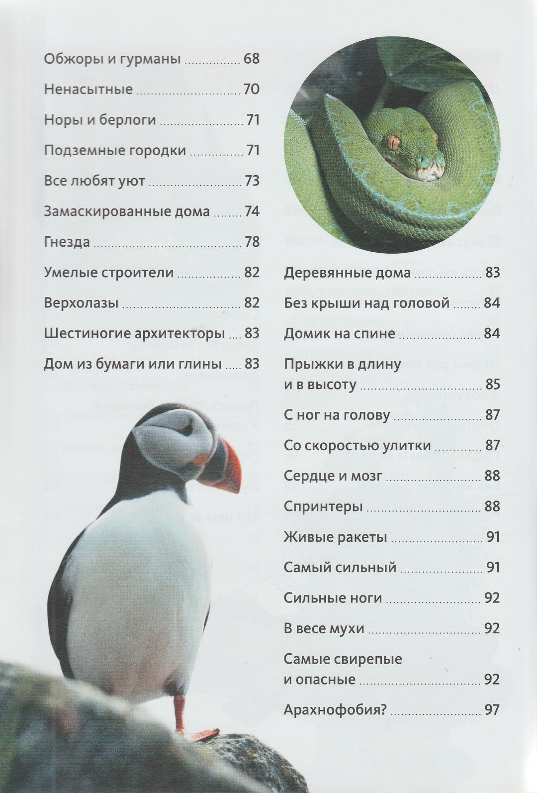 Животные. Птицы, рептилии, рыбы, млекопитающие, насекомые. Энциклопедия от А до Я-Сибелло С.-Махаон-Lookomorie