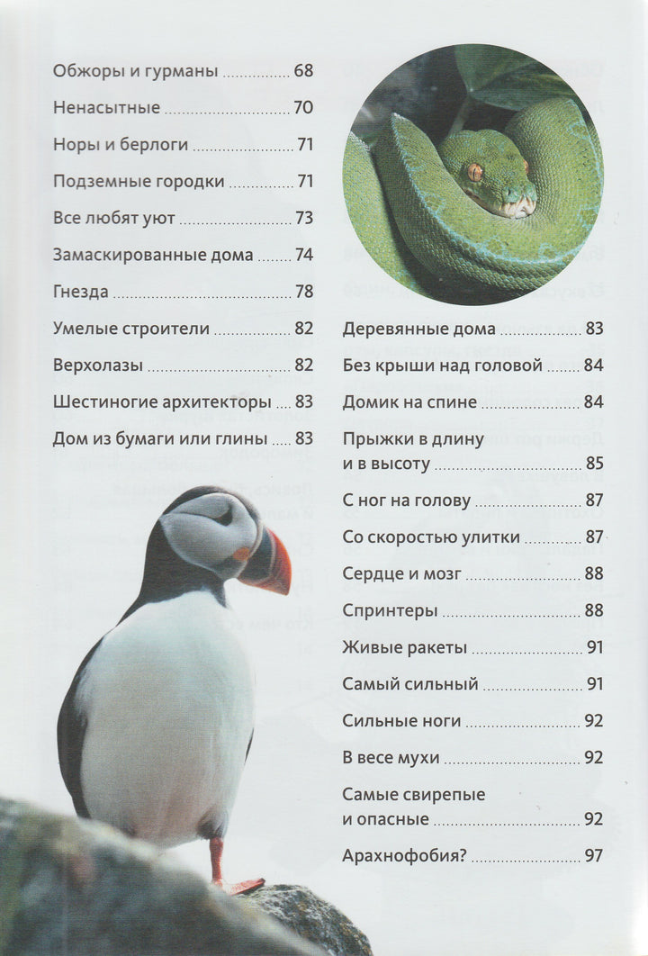 Животные. Птицы, рептилии, рыбы, млекопитающие, насекомые. Энциклопедия от А до Я-Сибелло С.-Махаон-Lookomorie