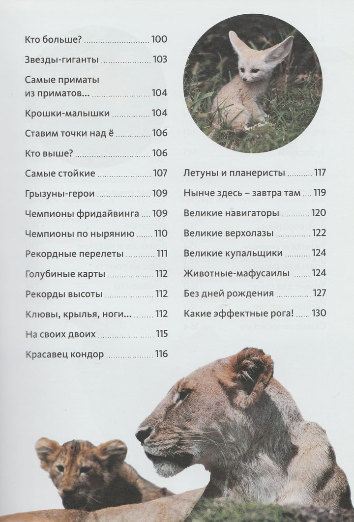 Животные. Птицы, рептилии, рыбы, млекопитающие, насекомые. Энциклопедия от А до Я-Сибелло С.-Махаон-Lookomorie