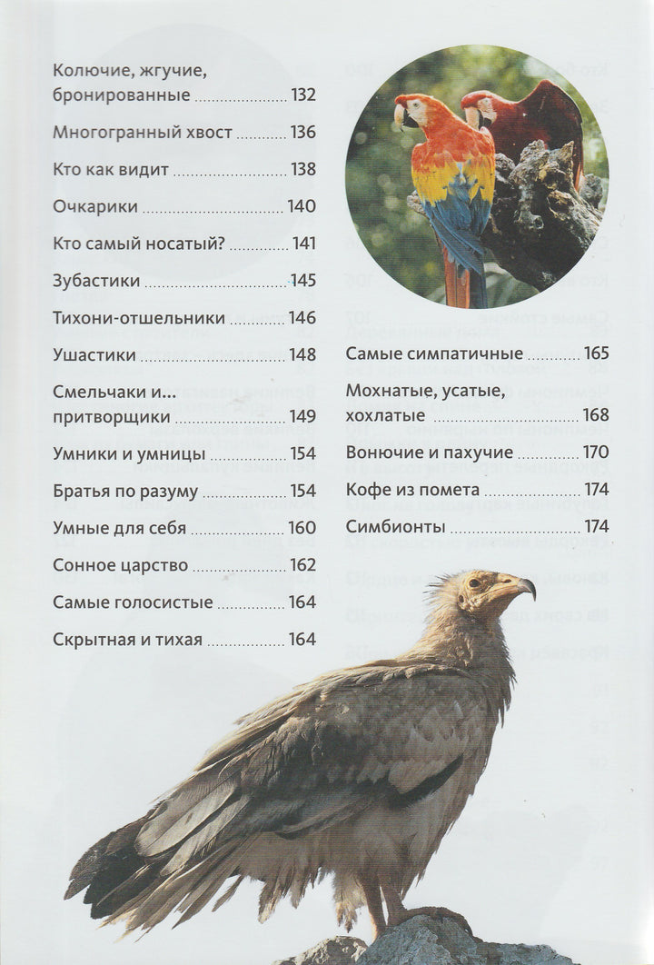 Животные. Птицы, рептилии, рыбы, млекопитающие, насекомые. Энциклопедия от А до Я-Сибелло С.-Махаон-Lookomorie