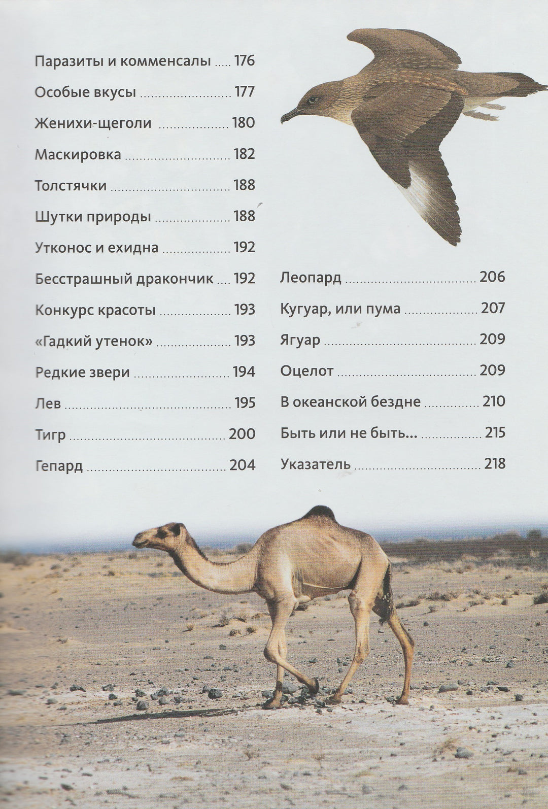 Животные. Птицы, рептилии, рыбы, млекопитающие, насекомые. Энциклопедия от А до Я-Сибелло С.-Махаон-Lookomorie