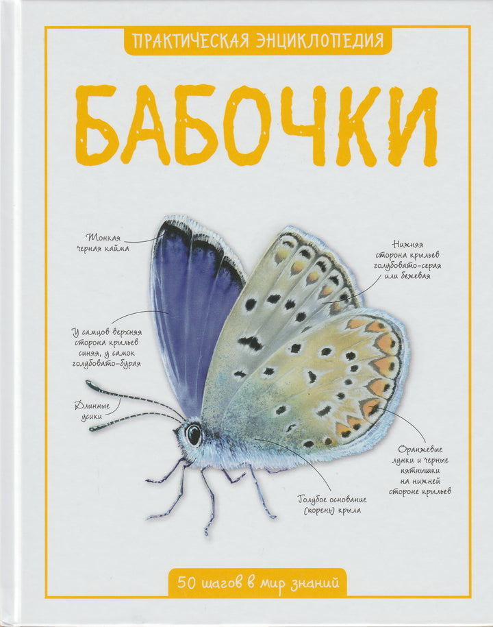 Бабочки. Практическая энциклопедия-Бедуайер К.-Махаон-Lookomorie