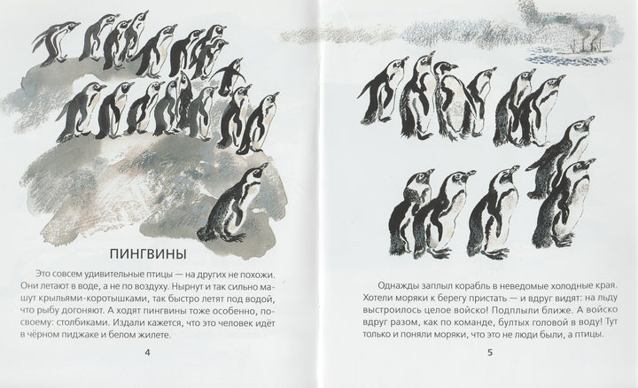 Чарушин Е. Животные жарких и холодных стран-Чарушин Е.-Акварель, Команда А-Lookomorie