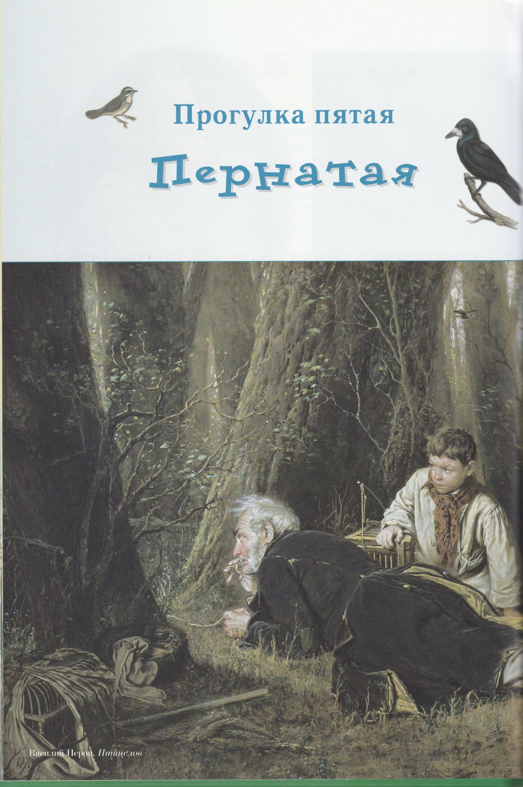 Махотин С. Прогулки по лесу. Моя первая книга-Махотин С.-Белый город-Lookomorie