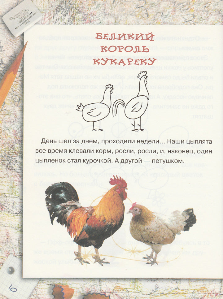 Нарисуем сказки сами-Коллектив авторов-Белый город-Lookomorie