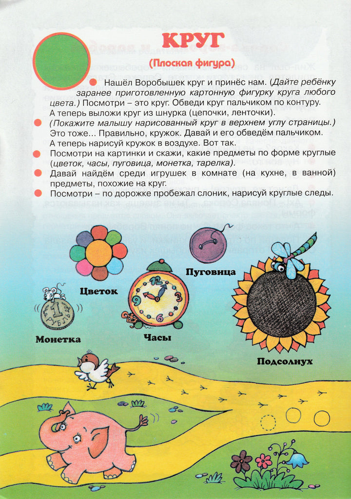 Катится? Не катится! Цветные формы. Геометрия для дошколят. Для тех, кому 3, 4, 5...-Янушко Е.-Карапуз-Lookomorie