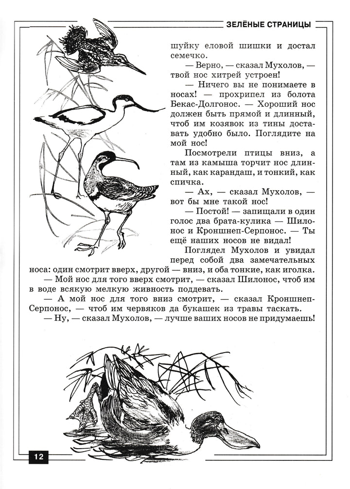 Зеленые страницы. Хрестоматия по экологии для начальной школы-Коллектив авторов-Детгиз-Lookomorie