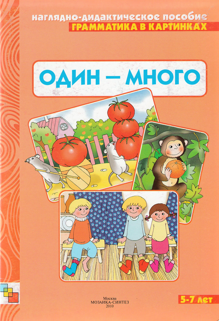 Грамматика в картинках Один - много. 5-7 лет. Наглядно-дидактическое пособие-Коллектив авторов-Мозаика-Синтез-Lookomorie