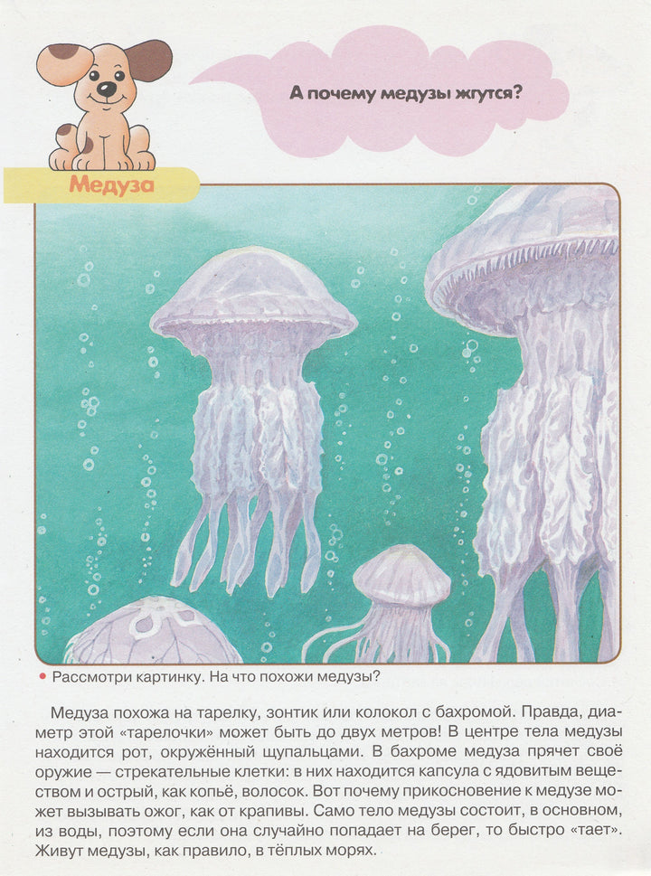 Кто в море живет. Первые уроки 5+-Преображенская Н.-Стрекоза-Lookomorie