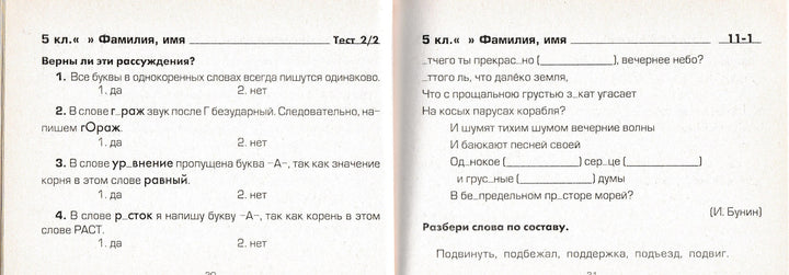 Шклярова Т. Русский язык 5 кл. Сборник самостоятельных работ "Вставь букву!"-Шклярова Т.-Грамотей-Lookomorie