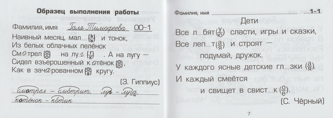 Шклярова Т. Русский язык. 1-2 кл. Сборник самостоятельных работ "Вставь букву!"-Шклярова Т.-Грамотей-Lookomorie