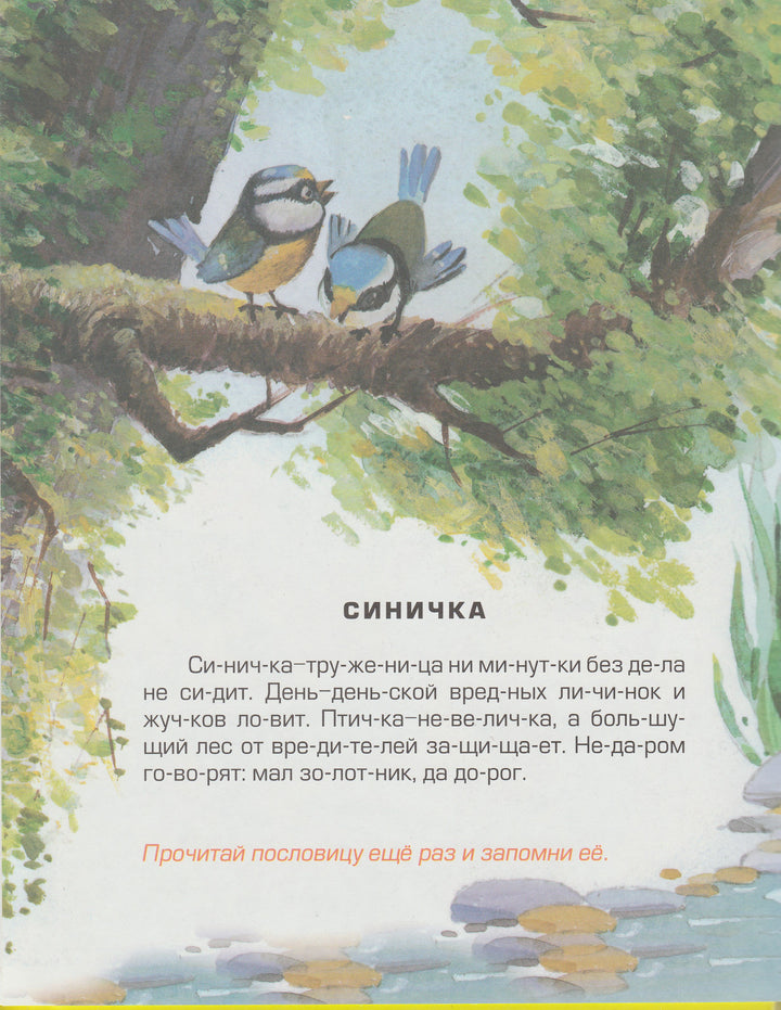 Крюкова Т. Познавайка-Крюкова Т.-Аквилегия-М-Lookomorie