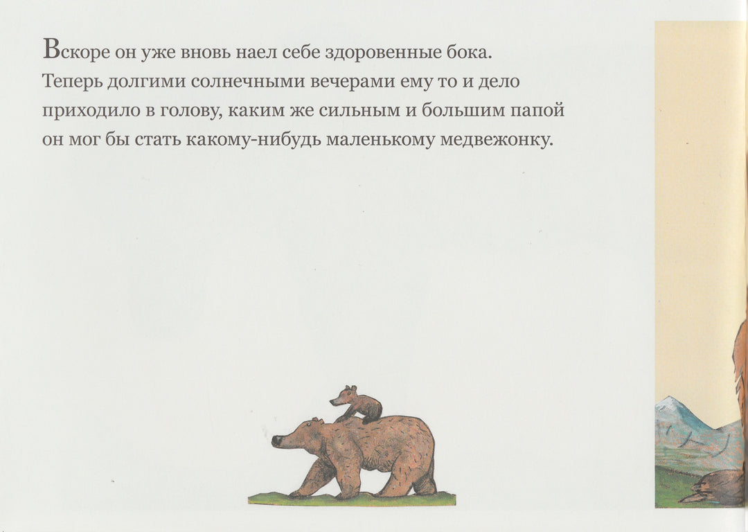 Медвежье чудо-Вольф Эрльбрух-КомпасГид-Lookomorie