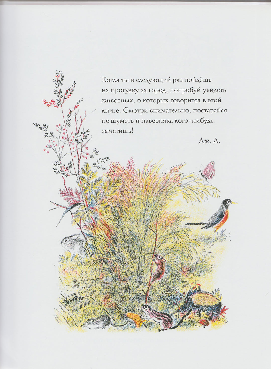 Дж. Лангстафф. Луговая Считалочка (илл. Ф. Рожанковский)-Лангстафф Дж.-Карьера Пресс-Lookomorie