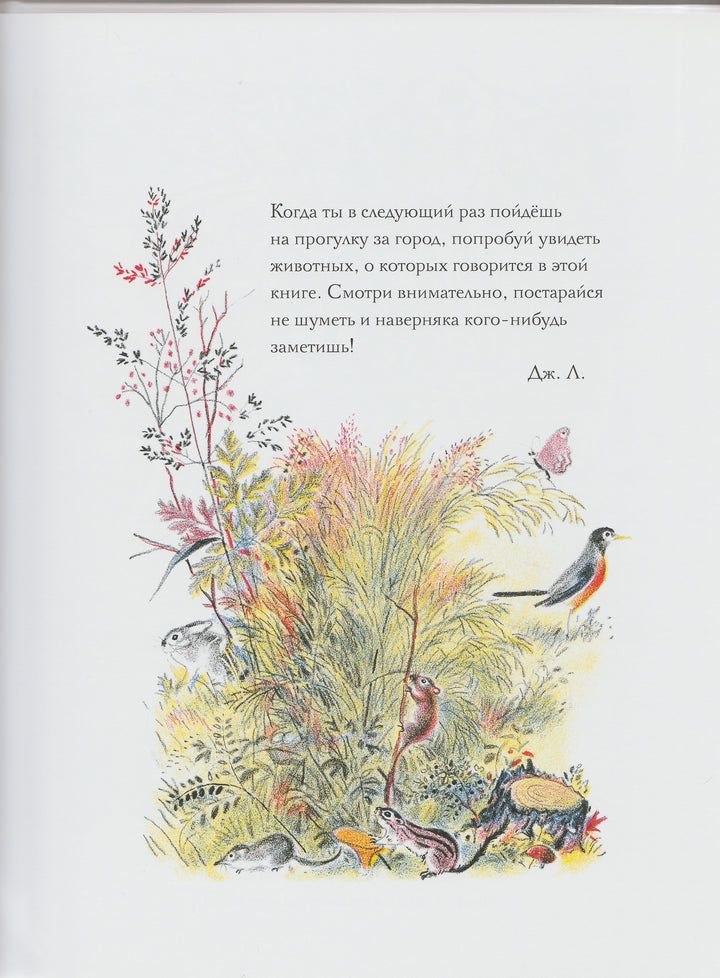 Дж. Лангстафф. Луговая Считалочка (илл. Ф. Рожанковский)-Лангстафф Дж.-Карьера Пресс-Lookomorie