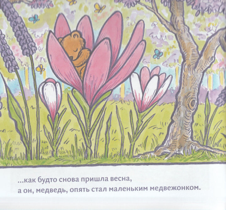 Большой медведь-Хэнкес К.-Волчок-Lookomorie