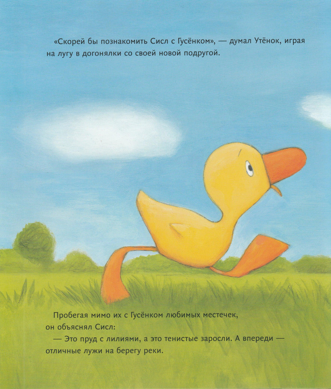 Утенок, Утенок, Гусенок. Книжка - картинка-Хиллс Т.-Волчок-Lookomorie