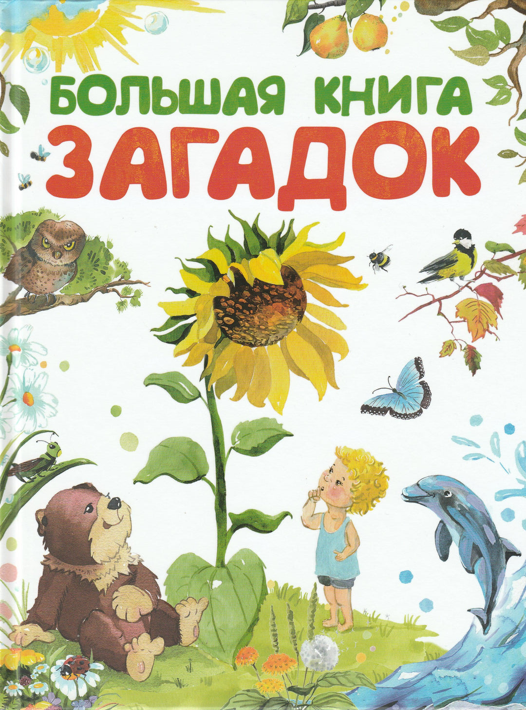 Большая книга загадок-Шикова С.-Качели-Lookomorie