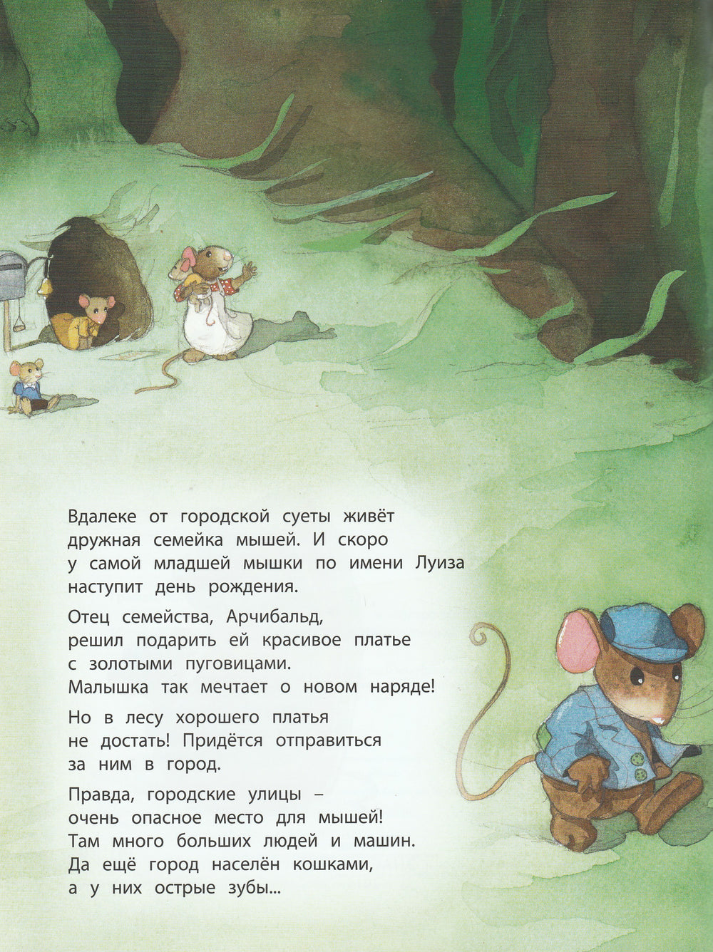 Подарок для Луизы-Гребан К.-Энас-Книга-Lookomorie