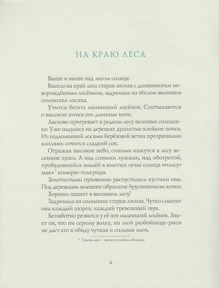 Соколов-Микитов И. Весна в лесу. Любимая мамина книжка-Соколов-Микитов И.-Речь-Lookomorie