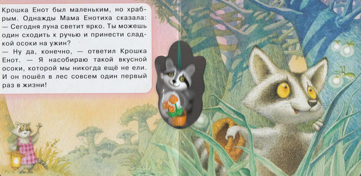 Крошка енот-Долотцева М.-Лабиринт-Lookomorie