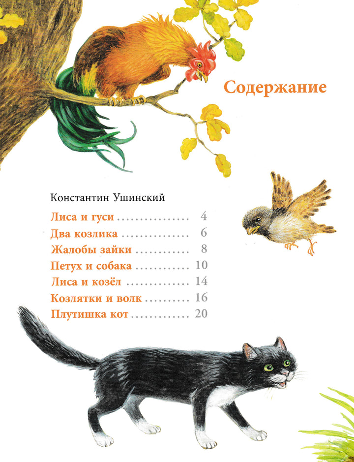  Ушинский К., Мамин-Сибиряк Д. Лягушка-путешественница-Ушинский К.-Лабиринт-Lookomorie