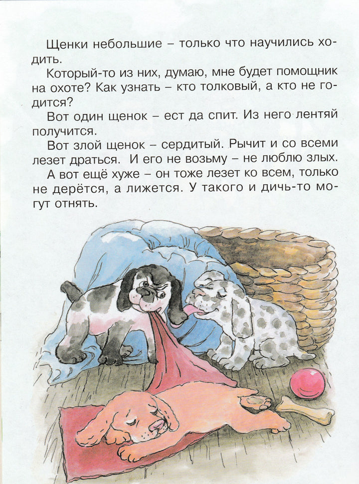 Чарушин Е. Томка-Чарушин Е.-Яблоко-Lookomorie