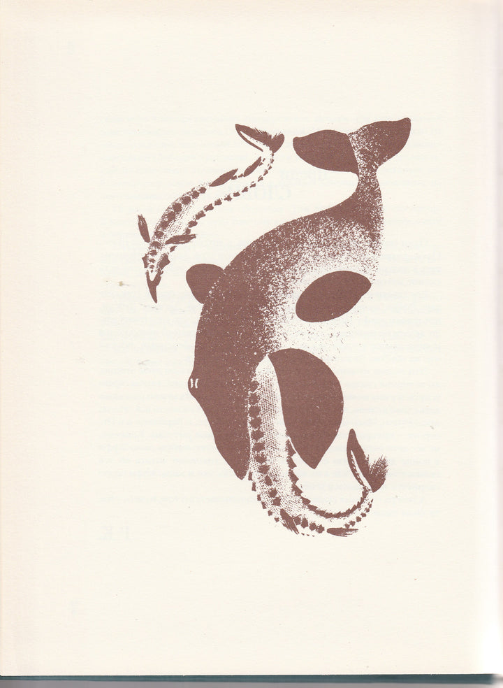 Киплинг Р. Сказки слово в слово (пер. Чуковский К., Маршак С., Муха Р., Левин В.)-Киплинг Р. -Октопус-Lookomorie