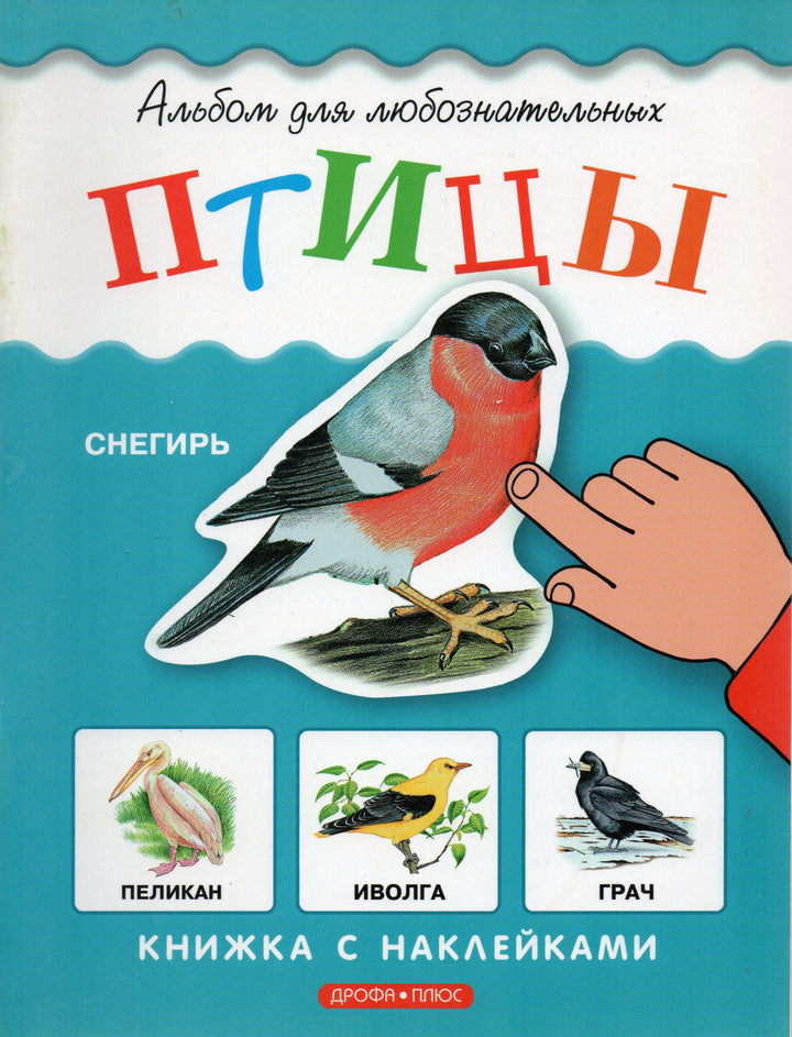 Птицы. Альбом для любознательных. Книжка с наклейками-Сичкарь А.-Дрофа Плюс-Lookomorie