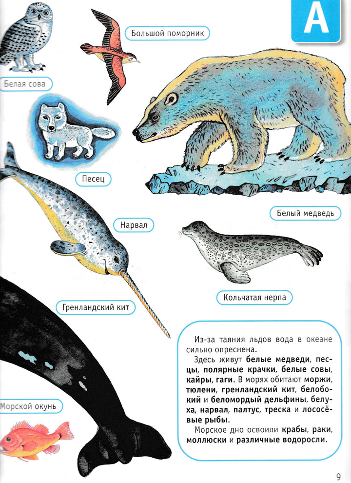 Океаны и моря. Моя первая энциклопедия-Нагаев В.-Дрофа Плюс-Lookomorie