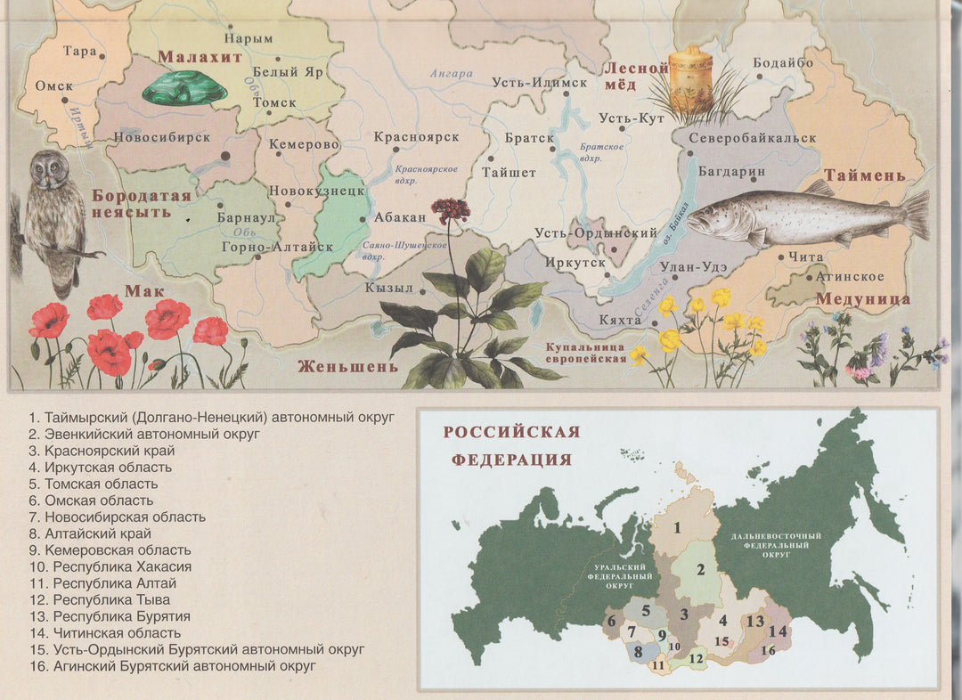 Сказки сибирских деревень. Сказки Народов России-Жданова Е.-BHV-Lookomorie